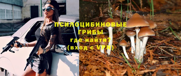 2c-b Балабаново