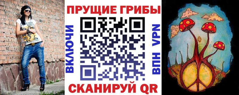 Псилоцибиновые грибы Cubensis  Светлый 